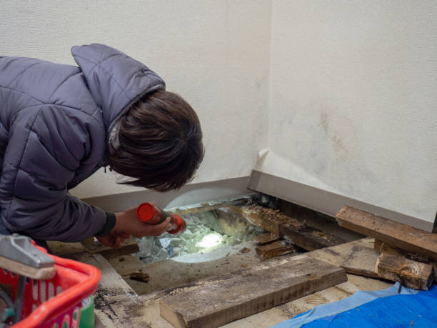 Best Post-Remediation Verification Testing  in Pleasant Hill, MS