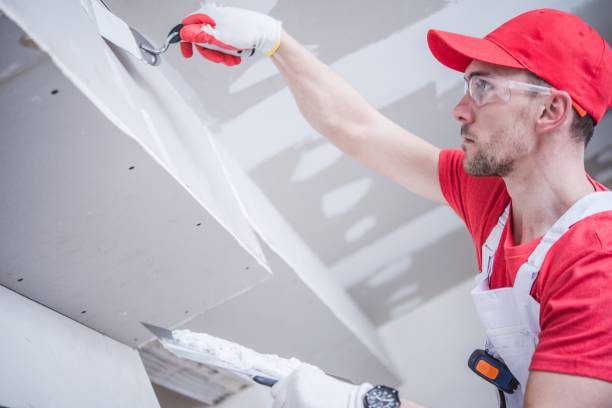 Best Basement Mold Removal  in Pleasant Hill, MS